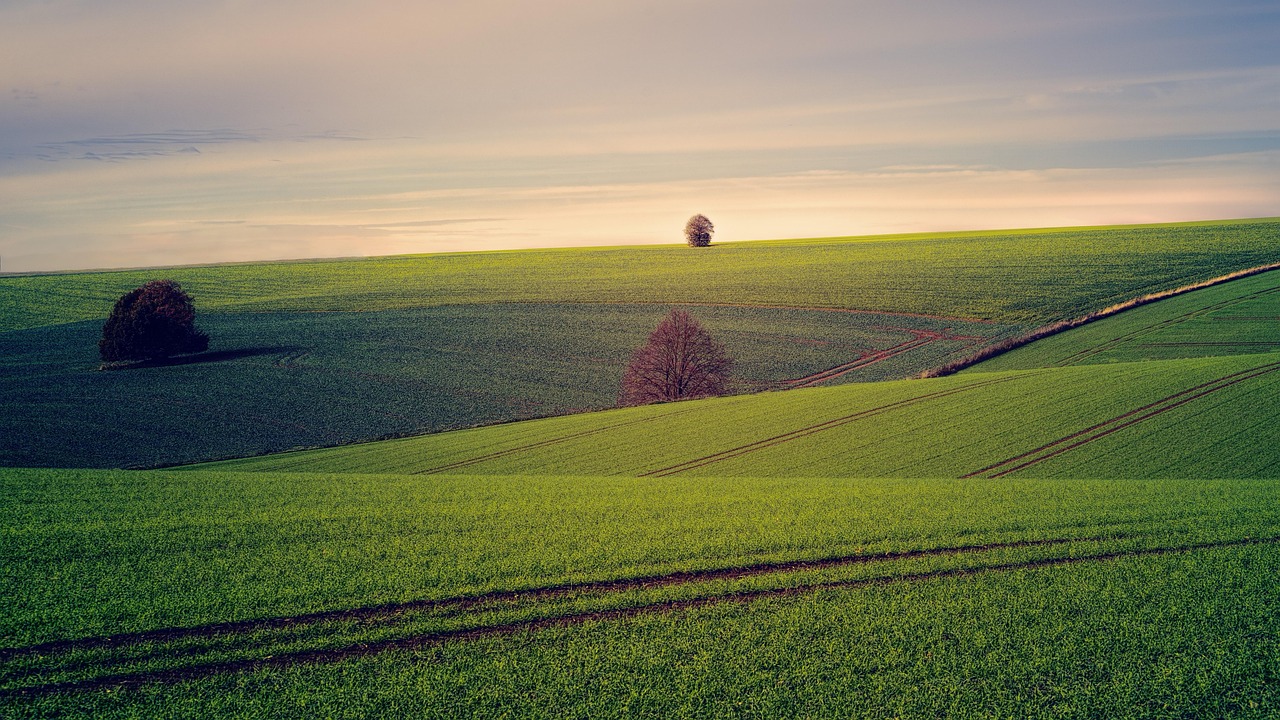 Douglas County, Missouri